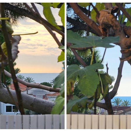 Detente Oceane S2 Proche De La Mer Wifi Clim カーニュ・シュル・メール エクステリア 写真