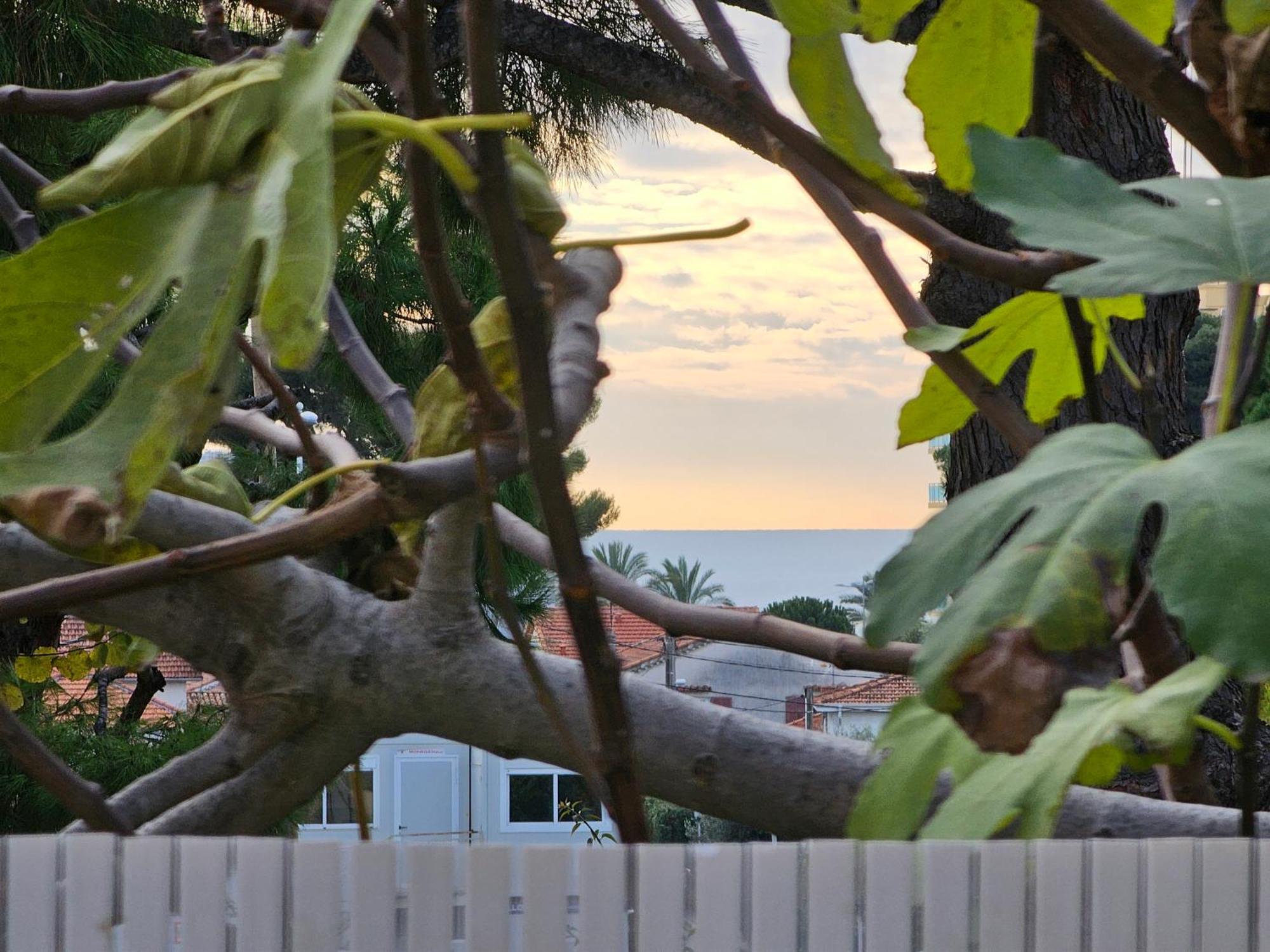 Detente Oceane S2 Proche De La Mer Wifi Clim カーニュ・シュル・メール エクステリア 写真